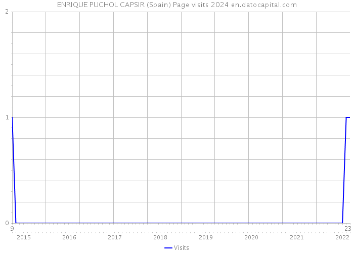 ENRIQUE PUCHOL CAPSIR (Spain) Page visits 2024 