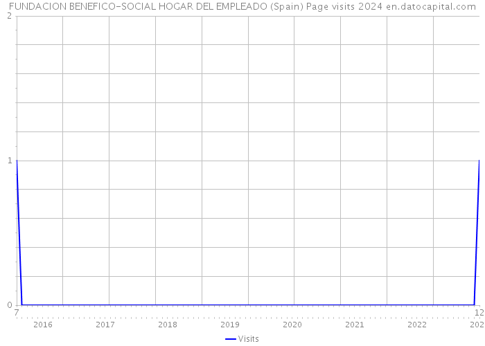 FUNDACION BENEFICO-SOCIAL HOGAR DEL EMPLEADO (Spain) Page visits 2024 