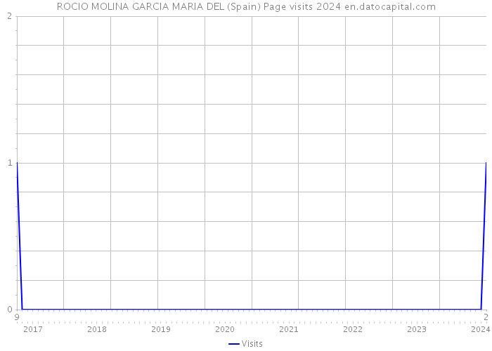 ROCIO MOLINA GARCIA MARIA DEL (Spain) Page visits 2024 