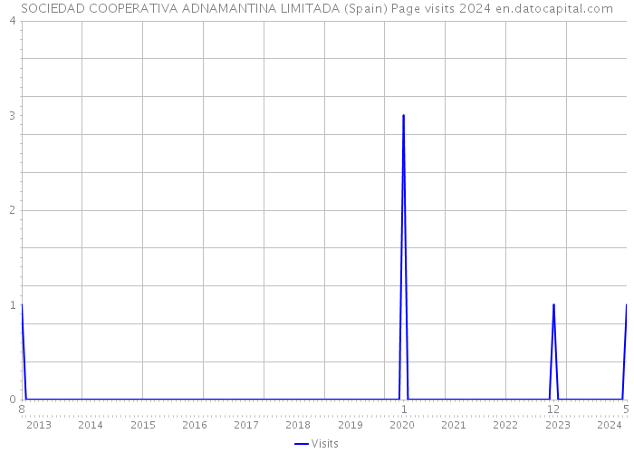 SOCIEDAD COOPERATIVA ADNAMANTINA LIMITADA (Spain) Page visits 2024 