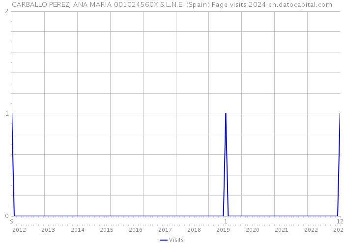 CARBALLO PEREZ, ANA MARIA 001024560X S.L.N.E. (Spain) Page visits 2024 