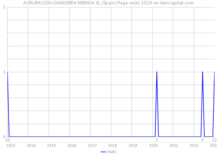 AGRUPACION GANADERA MERIDA SL (Spain) Page visits 2024 