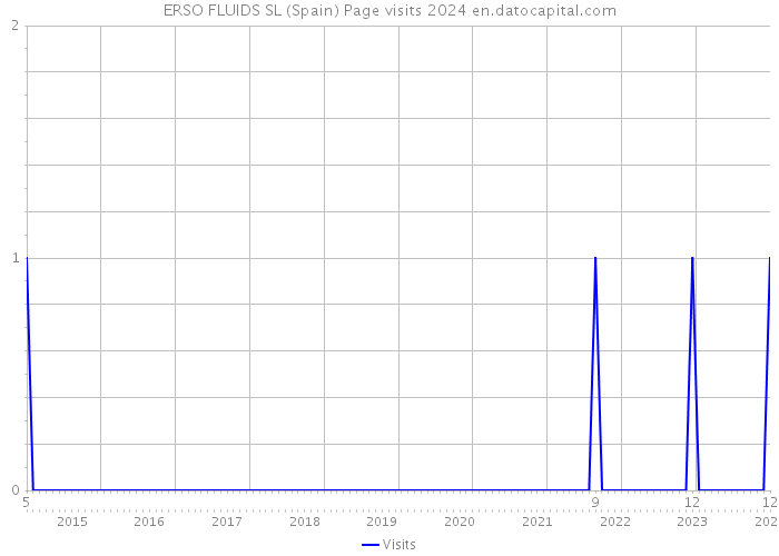 ERSO FLUIDS SL (Spain) Page visits 2024 