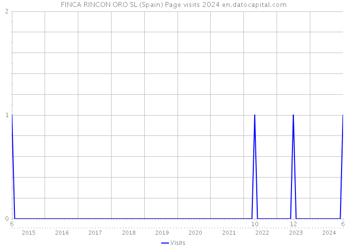 FINCA RINCON ORO SL (Spain) Page visits 2024 