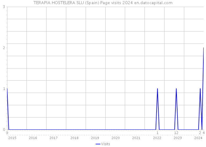 TERAPIA HOSTELERA SLU (Spain) Page visits 2024 