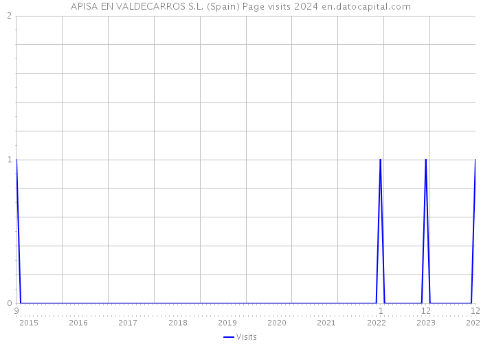 APISA EN VALDECARROS S.L. (Spain) Page visits 2024 