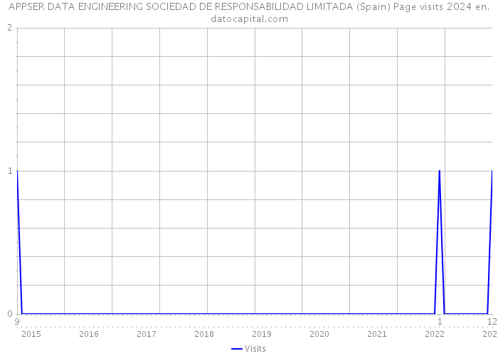 APPSER DATA ENGINEERING SOCIEDAD DE RESPONSABILIDAD LIMITADA (Spain) Page visits 2024 