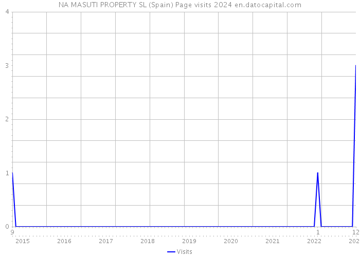 NA MASUTI PROPERTY SL (Spain) Page visits 2024 