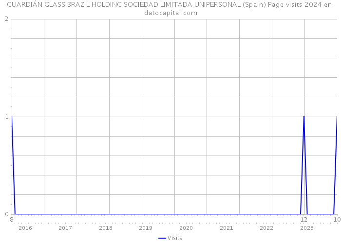 GUARDIÁN GLASS BRAZIL HOLDING SOCIEDAD LIMITADA UNIPERSONAL (Spain) Page visits 2024 