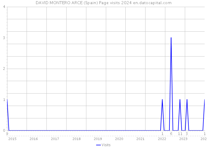 DAVID MONTERO ARCE (Spain) Page visits 2024 