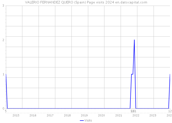VALERIO FERNANDEZ QUERO (Spain) Page visits 2024 