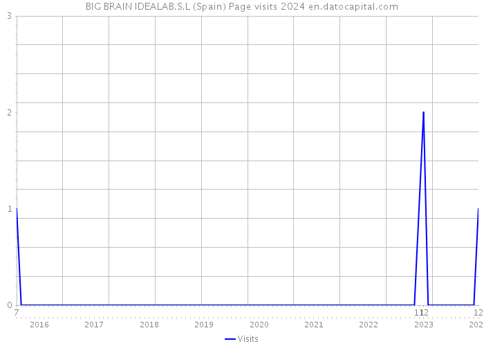 BIG BRAIN IDEALAB.S.L (Spain) Page visits 2024 