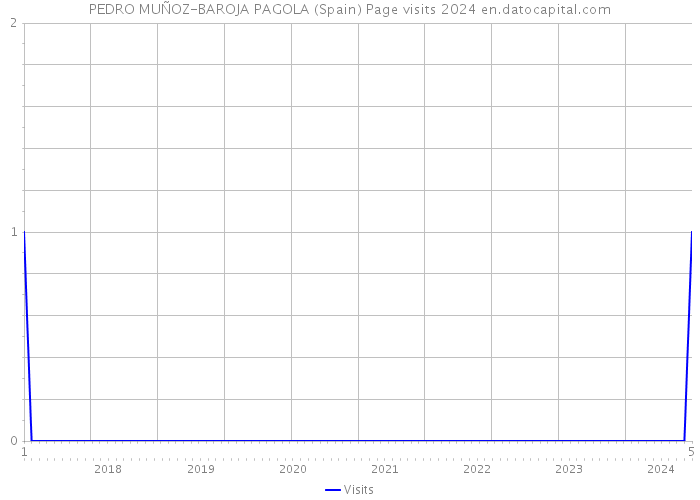 PEDRO MUÑOZ-BAROJA PAGOLA (Spain) Page visits 2024 