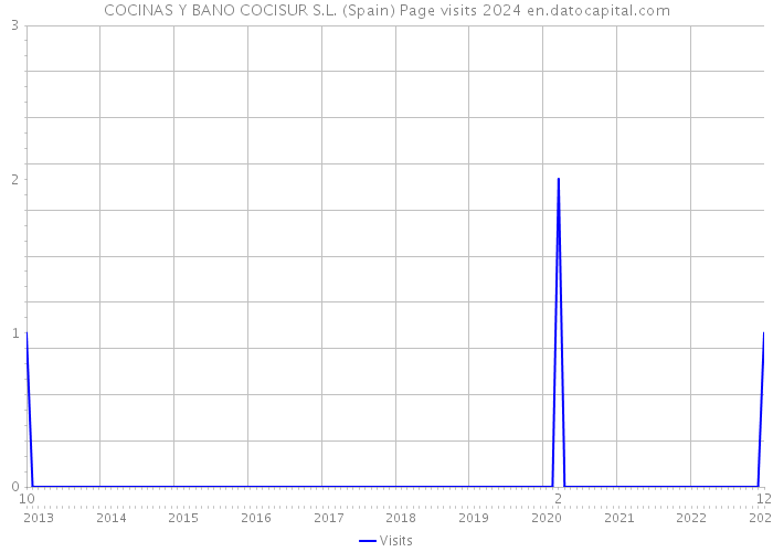 COCINAS Y BANO COCISUR S.L. (Spain) Page visits 2024 