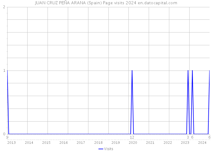 JUAN CRUZ PEÑA ARANA (Spain) Page visits 2024 