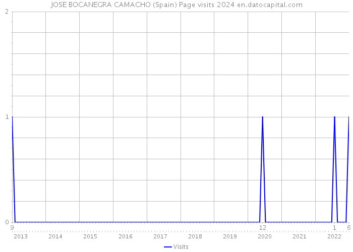 JOSE BOCANEGRA CAMACHO (Spain) Page visits 2024 