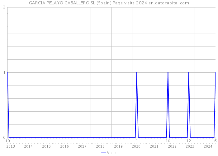 GARCIA PELAYO CABALLERO SL (Spain) Page visits 2024 
