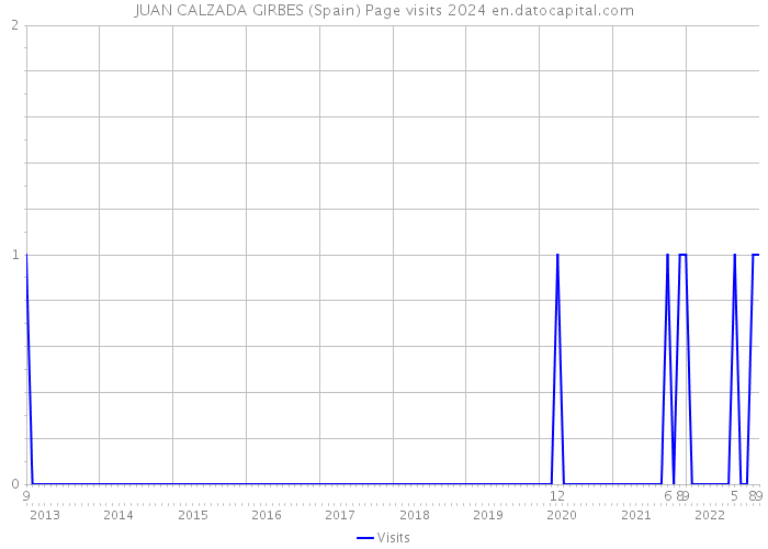 JUAN CALZADA GIRBES (Spain) Page visits 2024 