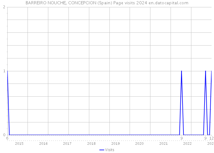 BARREIRO NOUCHE, CONCEPCION (Spain) Page visits 2024 