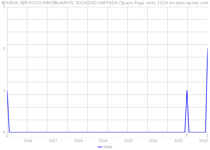 BOURAK SERVICIOS INMOBILIARIOS, SOCIEDAD LIMITADA (Spain) Page visits 2024 