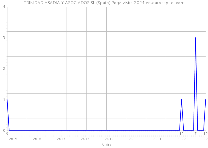 TRINIDAD ABADIA Y ASOCIADOS SL (Spain) Page visits 2024 