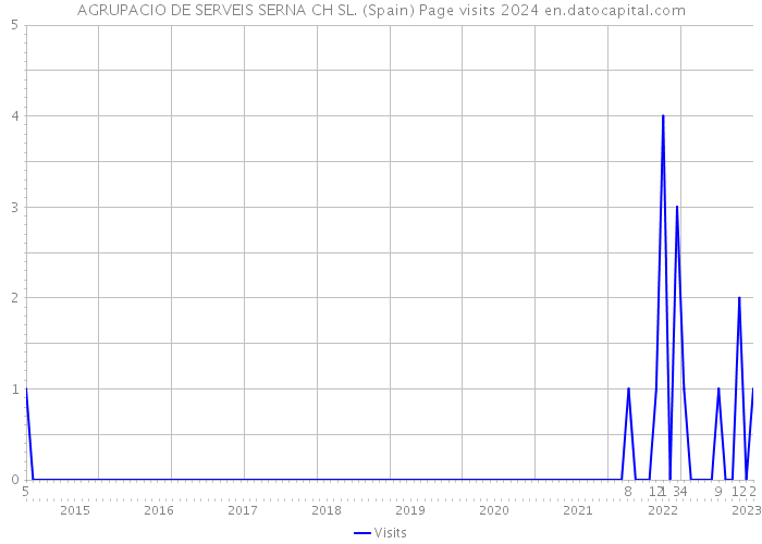 AGRUPACIO DE SERVEIS SERNA CH SL. (Spain) Page visits 2024 