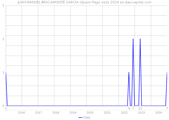 JUAN MANUEL BRACAMONTE GARCIA (Spain) Page visits 2024 