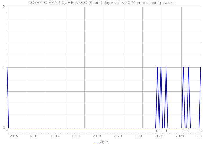 ROBERTO MANRIQUE BLANCO (Spain) Page visits 2024 