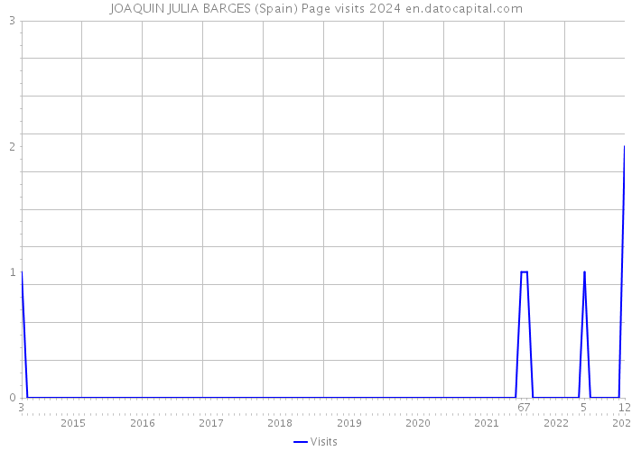 JOAQUIN JULIA BARGES (Spain) Page visits 2024 