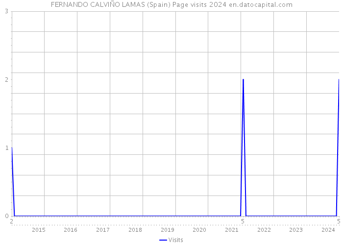 FERNANDO CALVIÑO LAMAS (Spain) Page visits 2024 