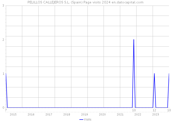 PELILLOS CALLEJEROS S.L. (Spain) Page visits 2024 