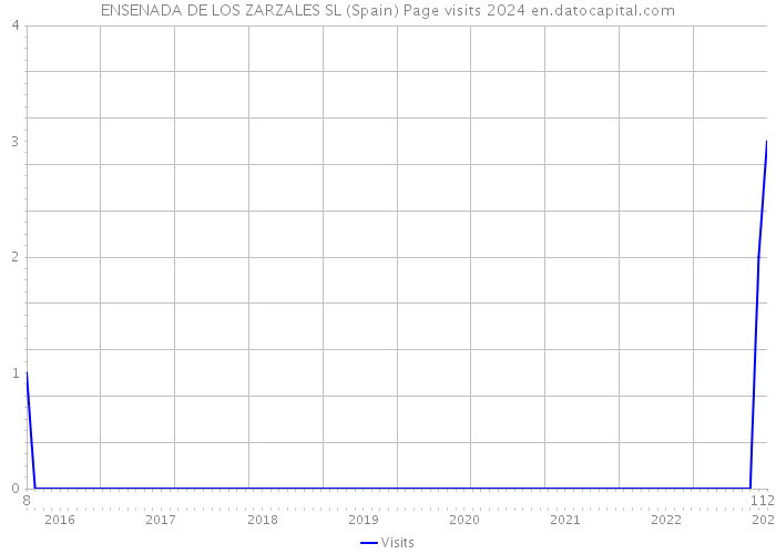 ENSENADA DE LOS ZARZALES SL (Spain) Page visits 2024 