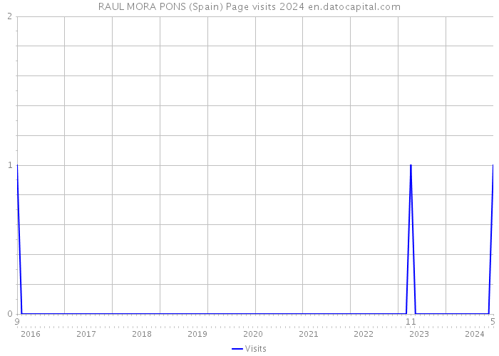 RAUL MORA PONS (Spain) Page visits 2024 