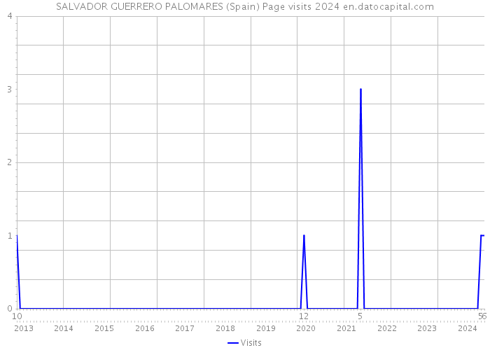 SALVADOR GUERRERO PALOMARES (Spain) Page visits 2024 