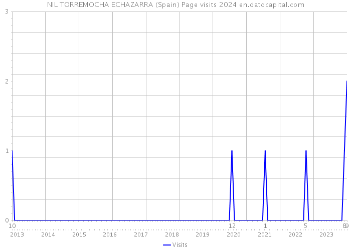 NIL TORREMOCHA ECHAZARRA (Spain) Page visits 2024 