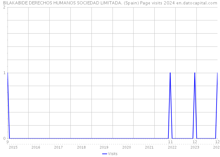 BILAKABIDE DERECHOS HUMANOS SOCIEDAD LIMITADA. (Spain) Page visits 2024 