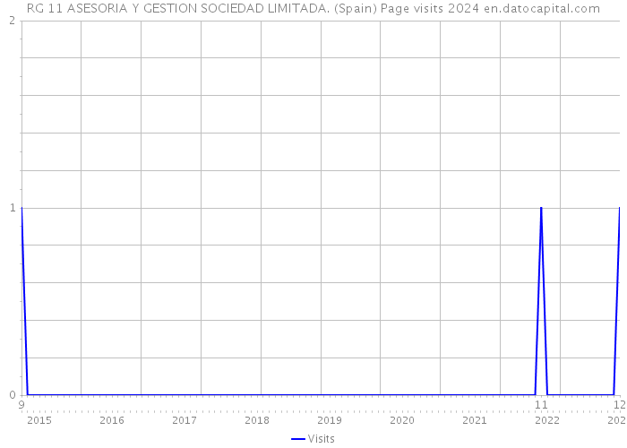 RG 11 ASESORIA Y GESTION SOCIEDAD LIMITADA. (Spain) Page visits 2024 