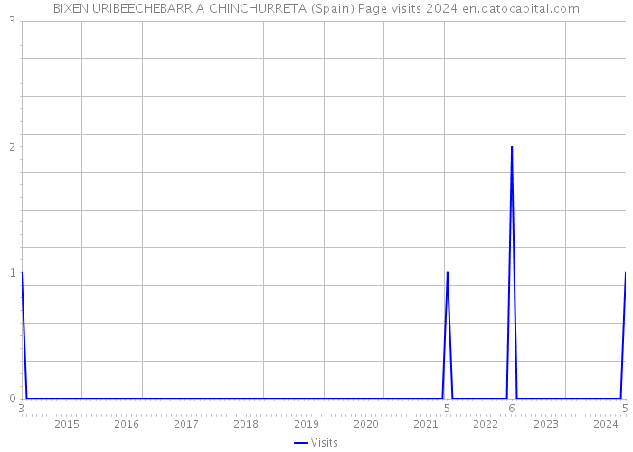 BIXEN URIBEECHEBARRIA CHINCHURRETA (Spain) Page visits 2024 