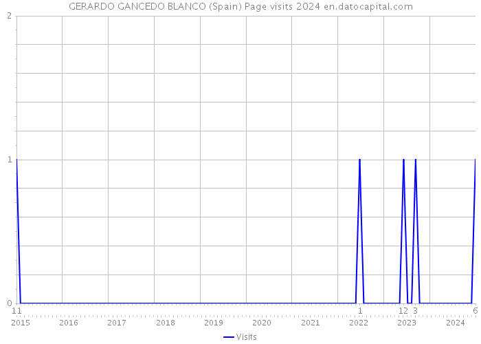 GERARDO GANCEDO BLANCO (Spain) Page visits 2024 