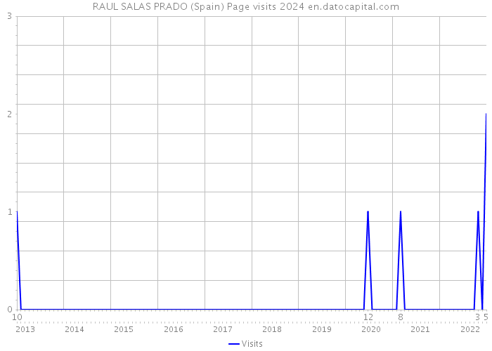 RAUL SALAS PRADO (Spain) Page visits 2024 
