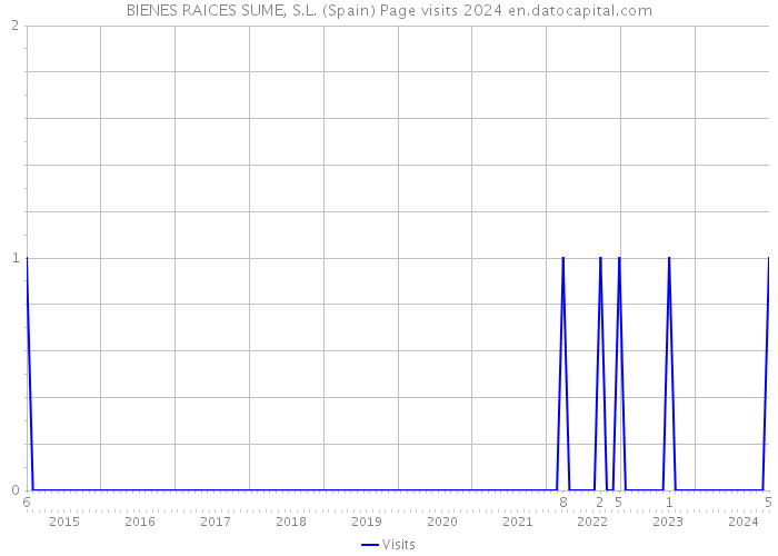 BIENES RAICES SUME, S.L. (Spain) Page visits 2024 