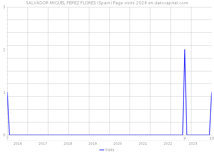 SALVADOR MIGUEL PEREZ FLORES (Spain) Page visits 2024 