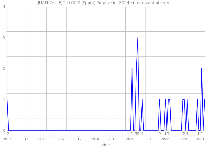 JUAN VALLEJO LLOPIS (Spain) Page visits 2024 
