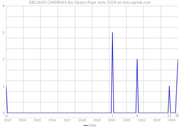 DELGADO CARDENAS SLL (Spain) Page visits 2024 
