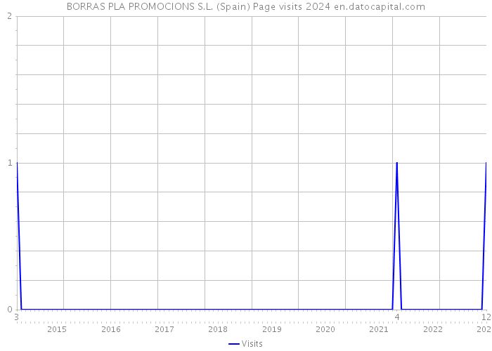 BORRAS PLA PROMOCIONS S.L. (Spain) Page visits 2024 