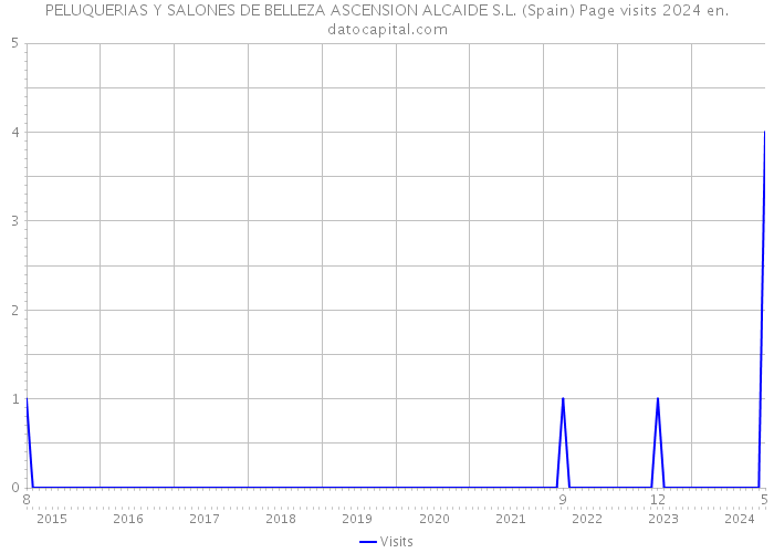 PELUQUERIAS Y SALONES DE BELLEZA ASCENSION ALCAIDE S.L. (Spain) Page visits 2024 