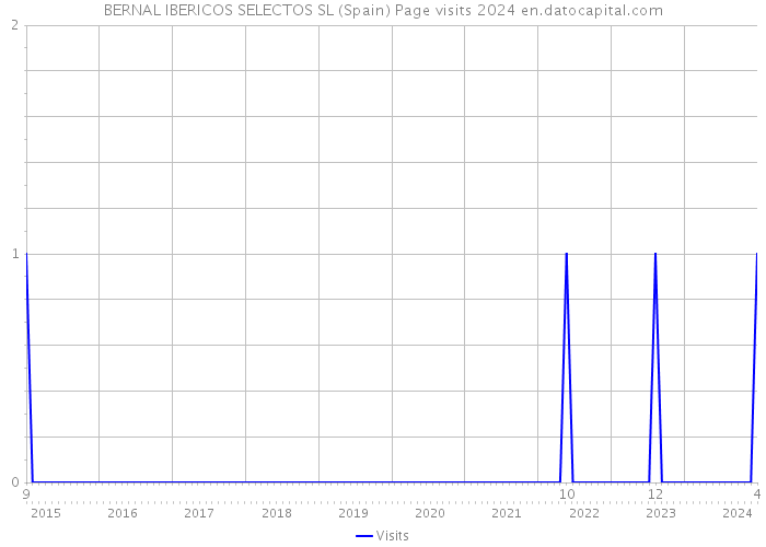BERNAL IBERICOS SELECTOS SL (Spain) Page visits 2024 