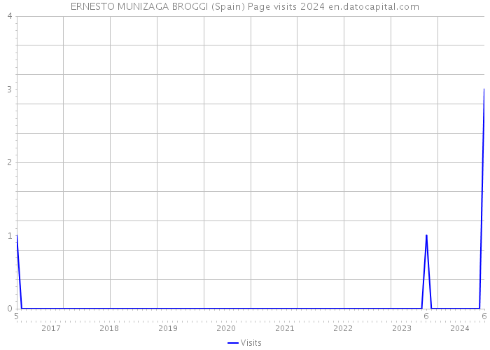ERNESTO MUNIZAGA BROGGI (Spain) Page visits 2024 