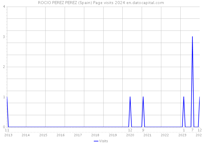 ROCIO PEREZ PEREZ (Spain) Page visits 2024 