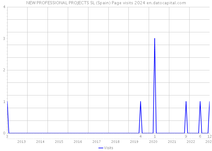 NEW PROFESSIONAL PROJECTS SL (Spain) Page visits 2024 